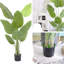 62.99cm Plant