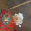Photos des clients 4 de 5