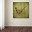 « wilderness introduction 7 », reproduction d’impression sur toile tendue-31331582