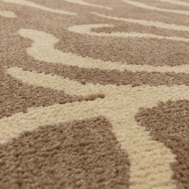 Alaisdair Tiger Animal Print Taupe Area Rug, Rectangle 120 x 170 cm