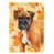 Boxer allemand