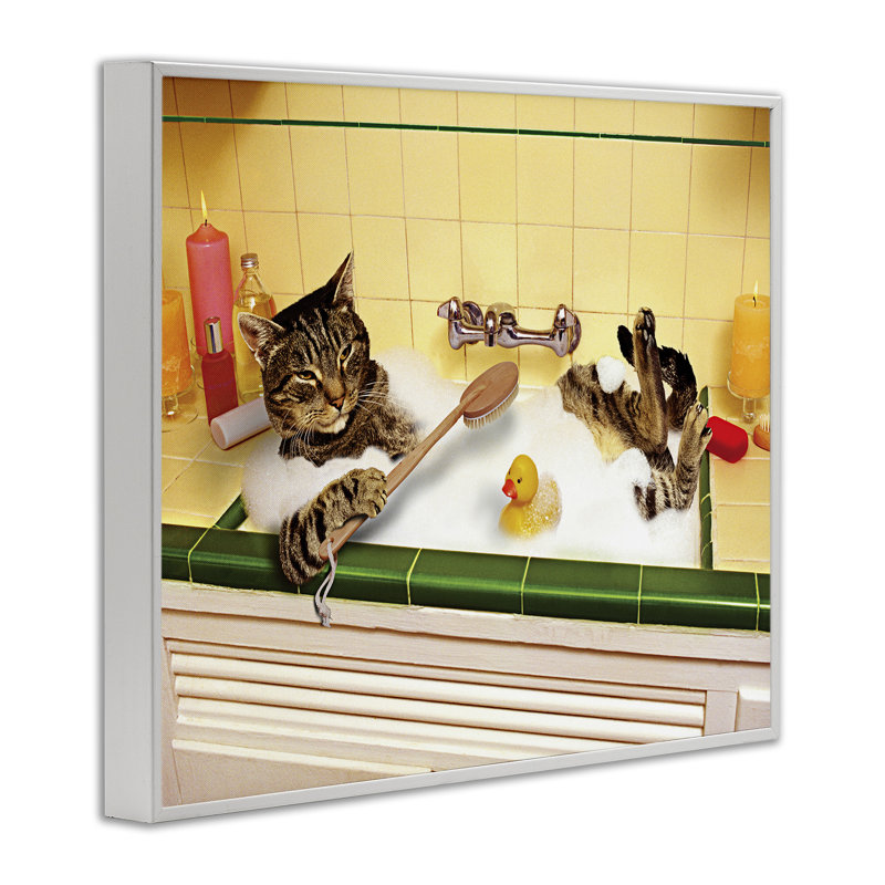 «Cat Bathing in Tub», estampe numérique par Lund Roeser, Giclée encadrée blanc bord de mer, H 16 po x l 20 po