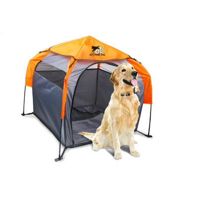 Tente pour chien