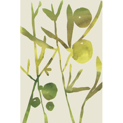 Spring Sprig III by Chariklia Zarris - Wrapped Canvas Painting