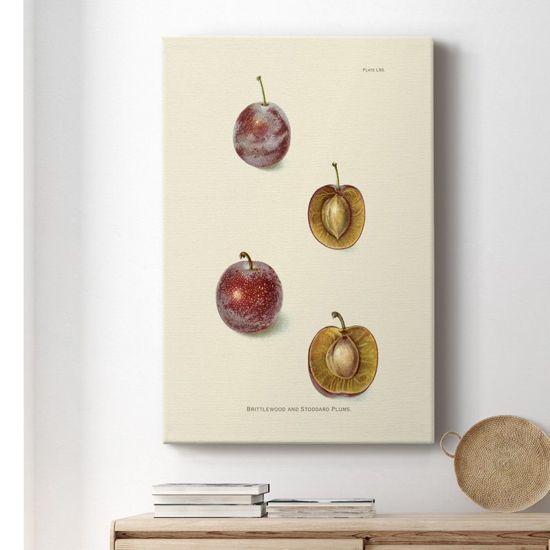 Prune II - impression sur toile tendue, H 18 po x l 12 po x P 1,5 po
