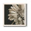 Classical Blooms IV - Art mural-62718656-62718660