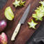 ZWILLING Bob Kramer Cumulus 5-Inch Utility Knife