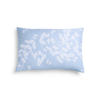 Butterfly Gingko Shams