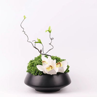 Arrangement floral simulé, plantes en pot, plantes, fleurs artificielles, décorations de bonsaï