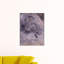 Claude Monet - Wrapped Canvas Painting-21212886