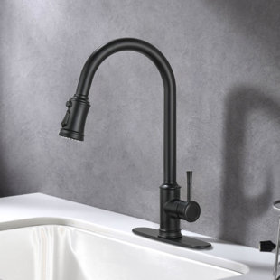 Golden Yard Pull Down Kitchen Faucet