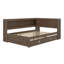 Daybed With Storage Shelves, USB, LED, And Trundle-314043649