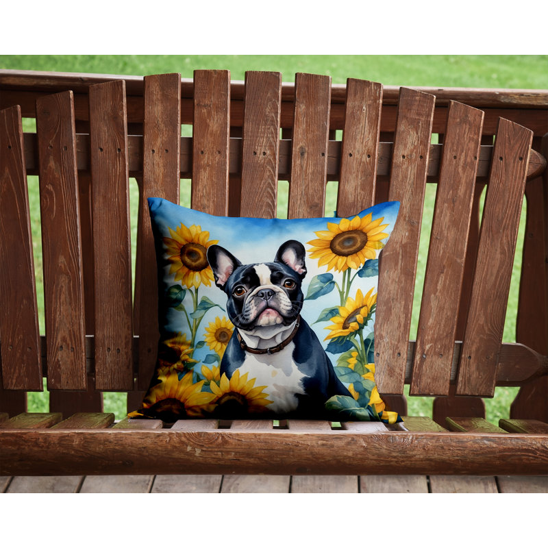 Other/No Pattern Outdoor Throw Pillow, 14"H x 14"W