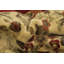 Tapis indien en laine fait à la main 6 x 8 po