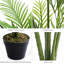 150cm Faux Plant in Nursery Pot