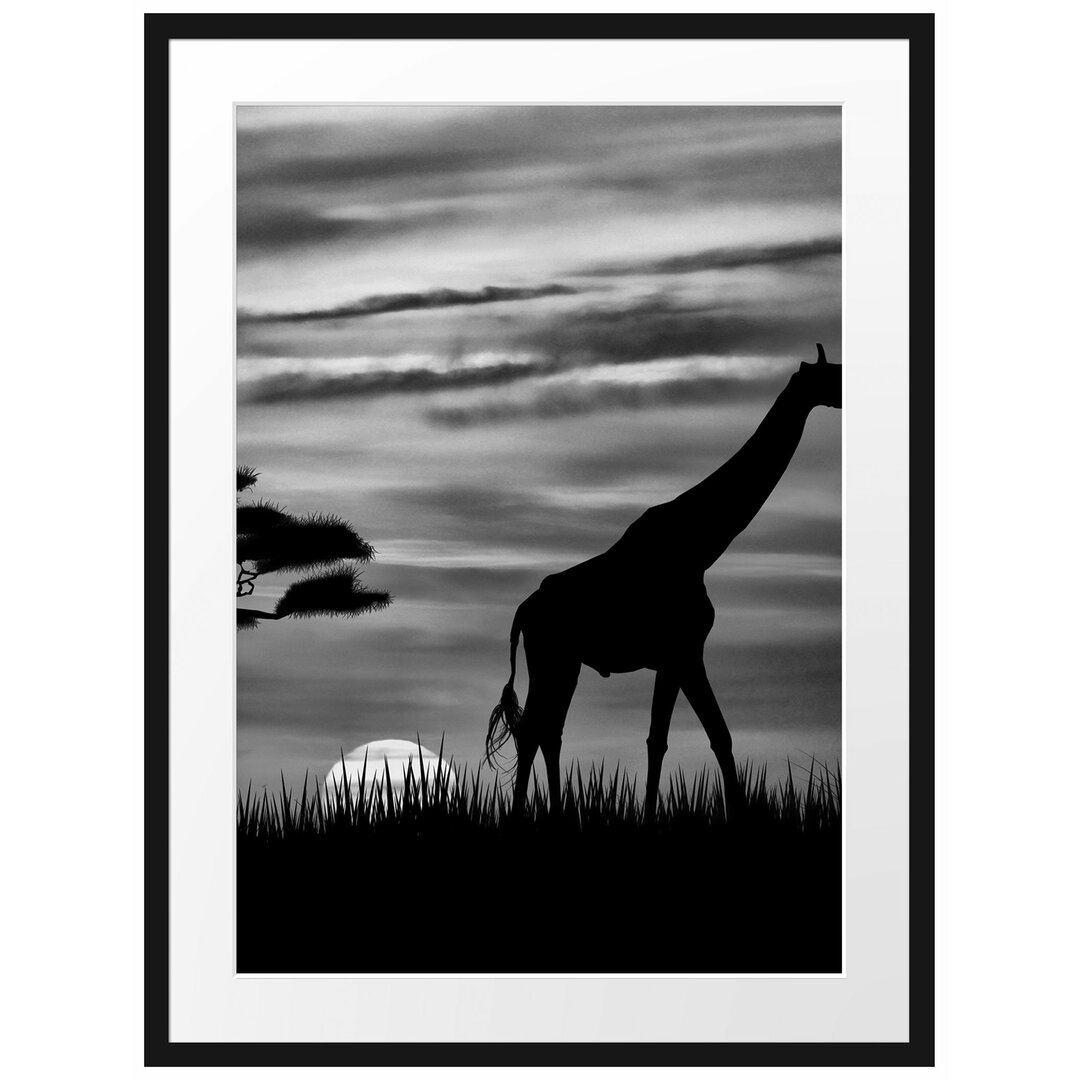 Gerahmtes Poster Giraffe im Sonnenuntergang