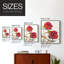 Hibiscus Glow I, reproduction encadrée - bois massif-808926572-808926579