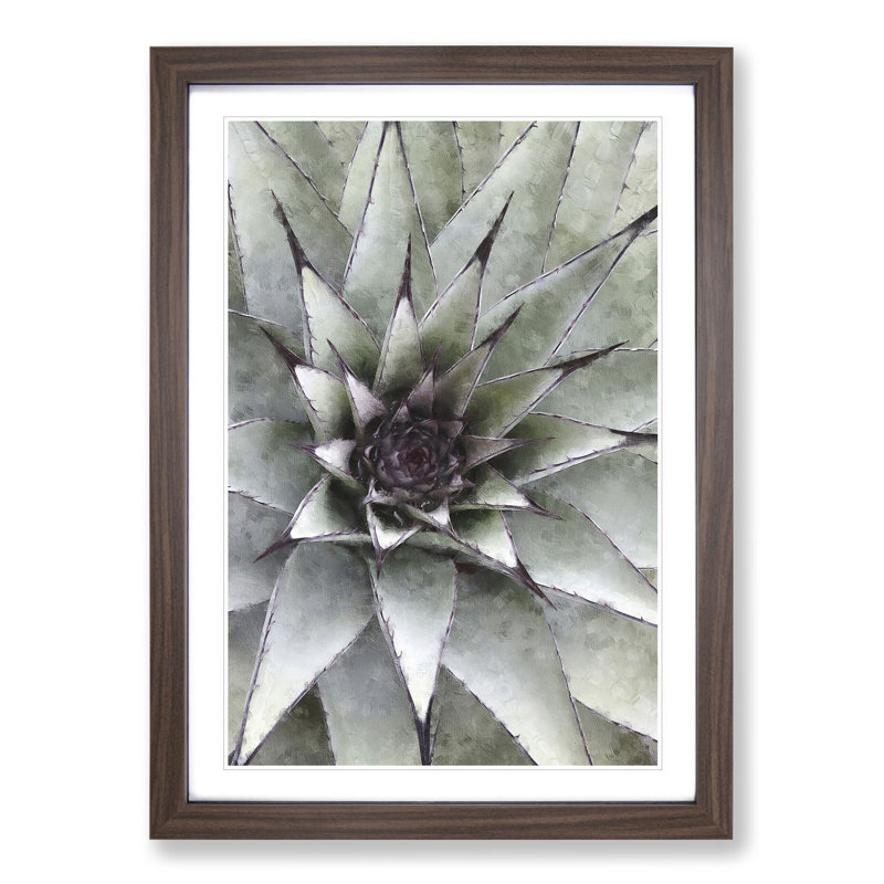 The Succulent Plant - Picture Frame Painting, 65cm H x 48cm W x 2cm D, Walnut Framed