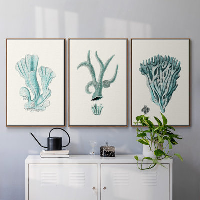 Ensemble de 3 pièces encadrées sur toile Antique Coastal Coral X