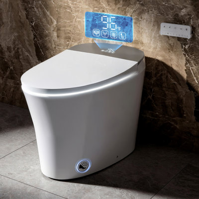 Rizzon 17.3" ADA Comfort Height Smart Toilet with Heated Seat And Night Light, Foam Shield,Adjustable Warm Wash/Dryer, MAP 1000g 4.8L Siphonic Flush,Slow Close, Night Light,Remote Control