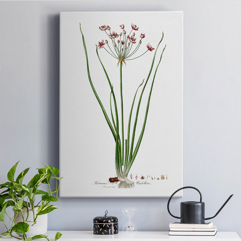 " Botanical II "