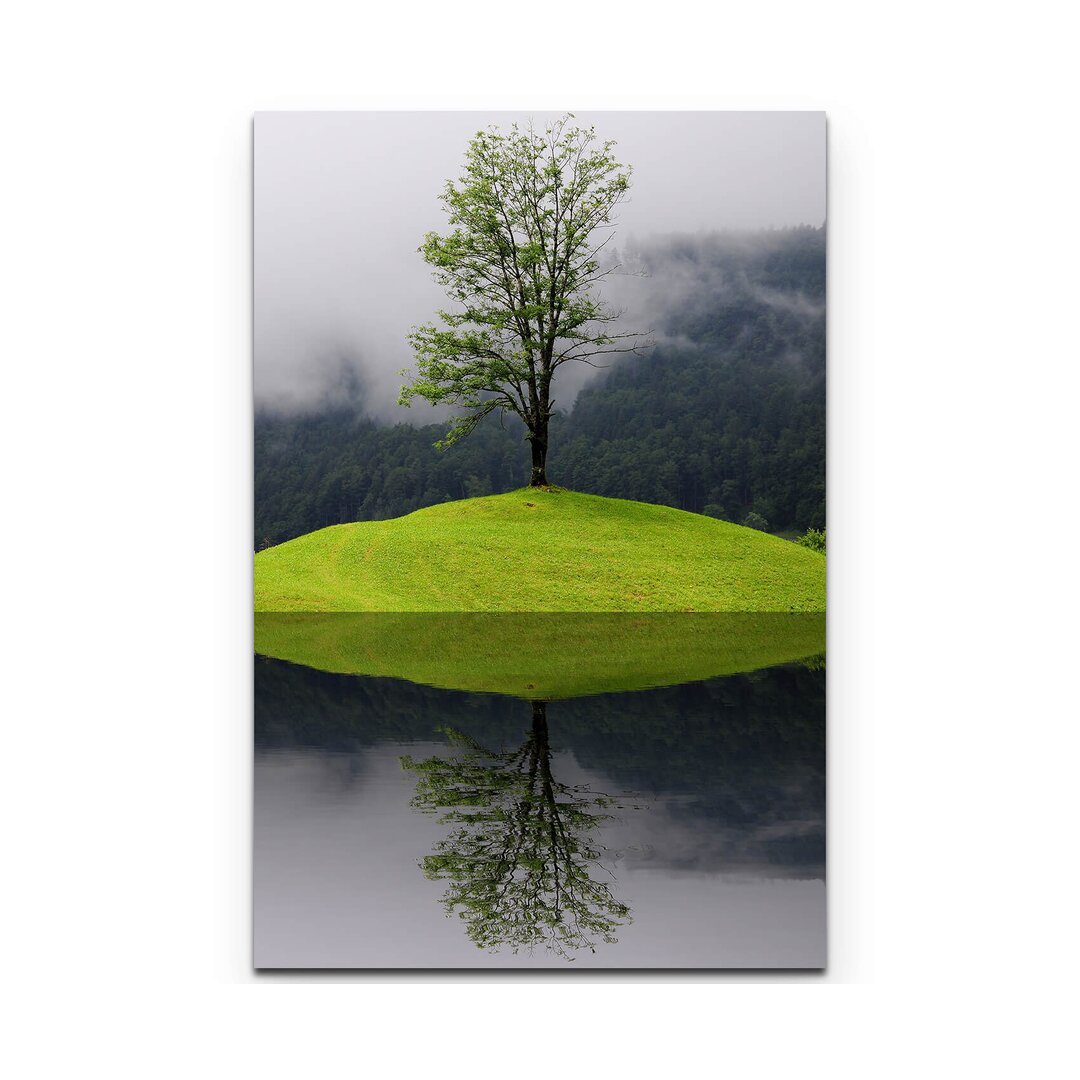 Leinwandbild Spiegelung Baum im Wasser