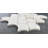 Shellstone 3" X 3" Travertine Mosaic Tile