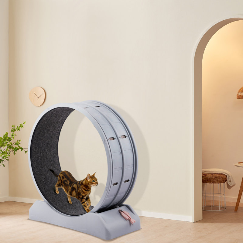 31 Inch Cat Treadmill Exercise Running Wheel