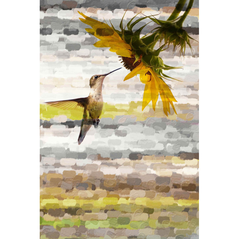 Parvez Taj - Wrapped Canvas Print, 61cm H x 41cm W