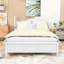 Brochan Wood Platform Bed with Headboard-1151814375-1151814376