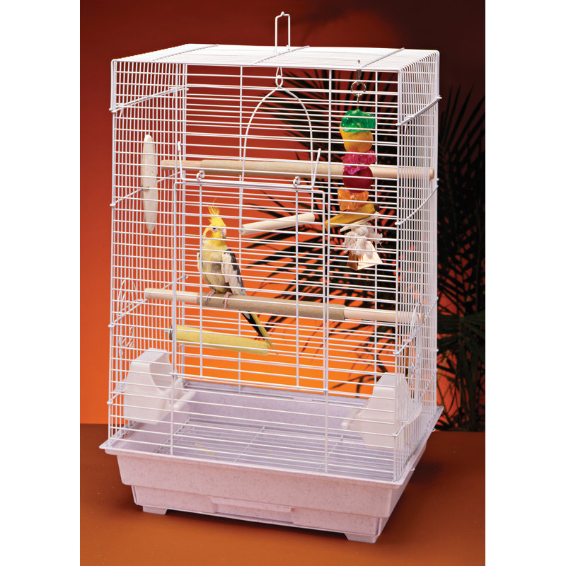Medium Birdcage Starter Kit - Square Dome- White