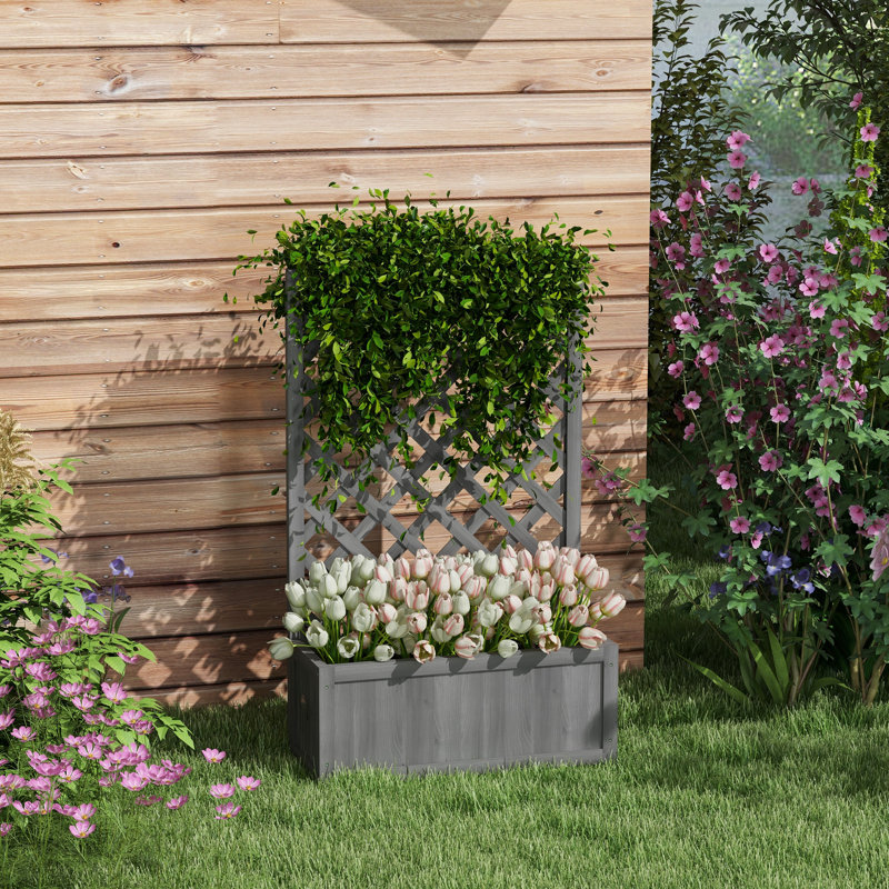 Lit de jardin surélevé avec treillis pour vignes, gris, bois, Gris