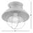 Rhone 9" W Caged Globe Steel Flush Mount