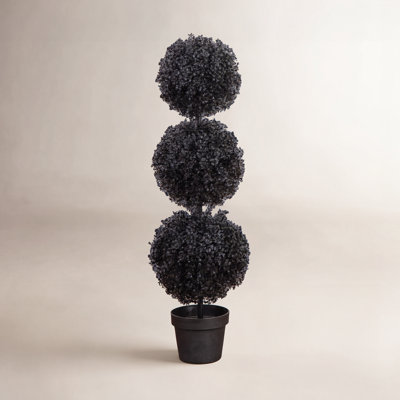 96" Boxwood Topiary in Nursery Pot