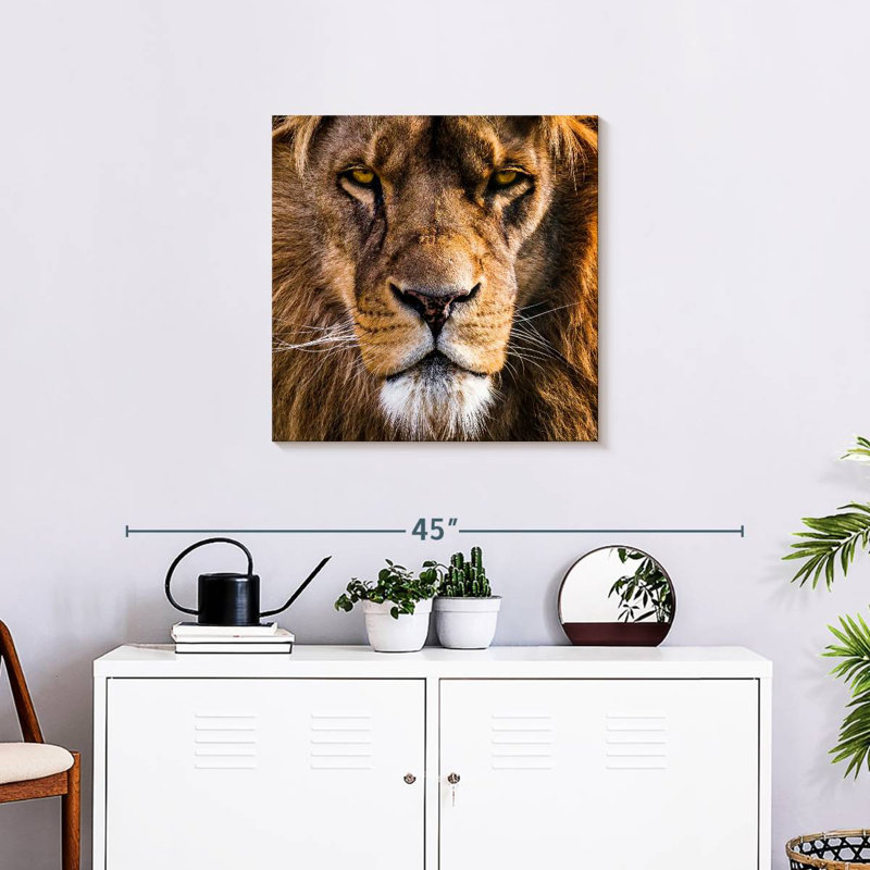 Regal Lion Head