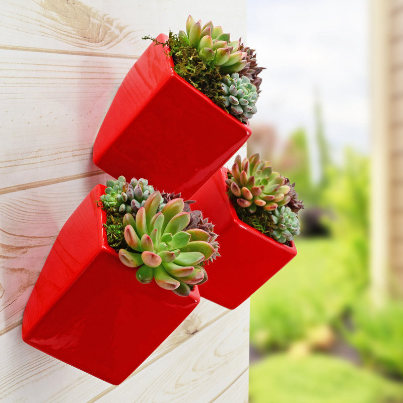 Ealy Ceramic Wall Planter, Red