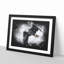 Bald Eagle High In The Sky - Single Picture Frame Print on MDF-56867120-56867123