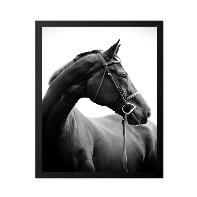 Portrait de cheval n ° 2, Black Framed, Poster, 16"H x 20"W