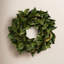 Magnolia Leaf Wreath-1809458386