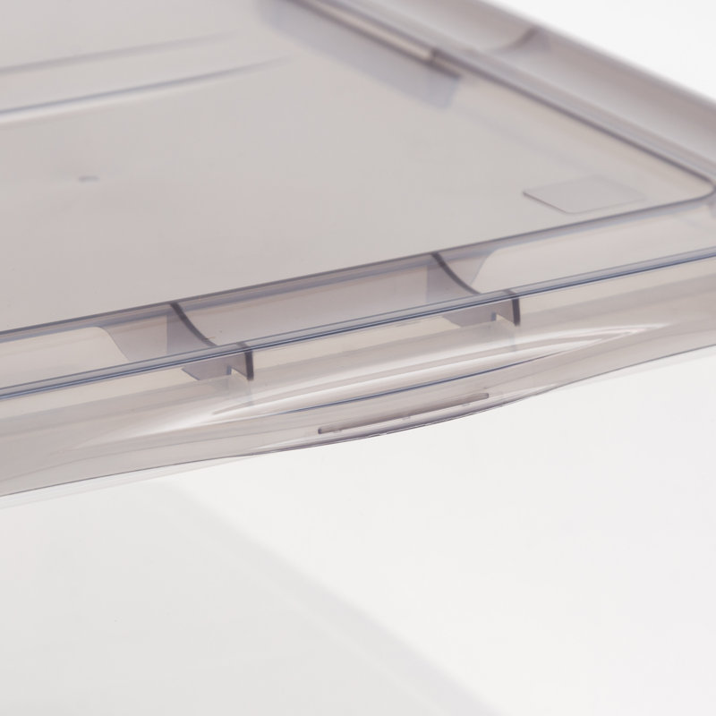 Didmarton Snap Top Plastic Storage Box, 1, 17 qts.