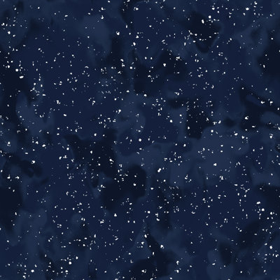 " Sidereal Navy " by Wagner Campelo