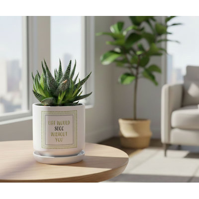 Planter Life Will Succ Sans You