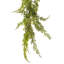 Guirlande artificiel monterey cypress