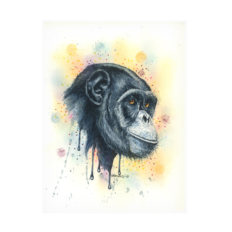 Dave Bartholet Chimp Canvas Art, 14" H x 19" W