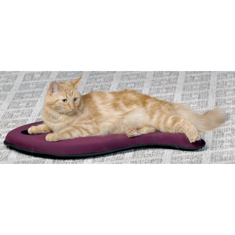 Pet Bed, Gray