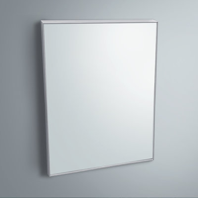 Spillers Metal Flat Wall Mirror