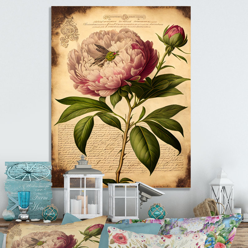 Pivoine rétro rose et blanche - reproduction sur toile, L 12 po x H 20 po, Toile tendue