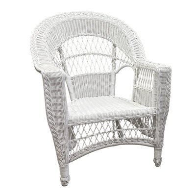 Camacho Wicker Outdoor Lounge Chair