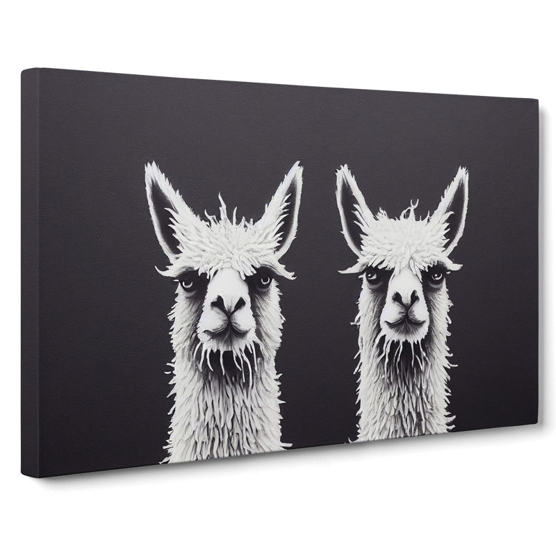 Two Llamas Vol.1 - Wrapped Canvas, 50cm H x 76cm W x 3cm D