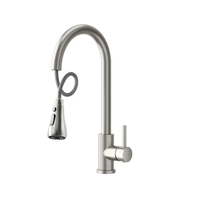 Brayden Studio Pull Down Kitchen Faucet